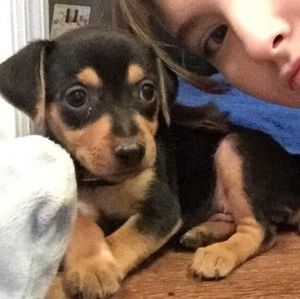 Meet your Posher, Shannon